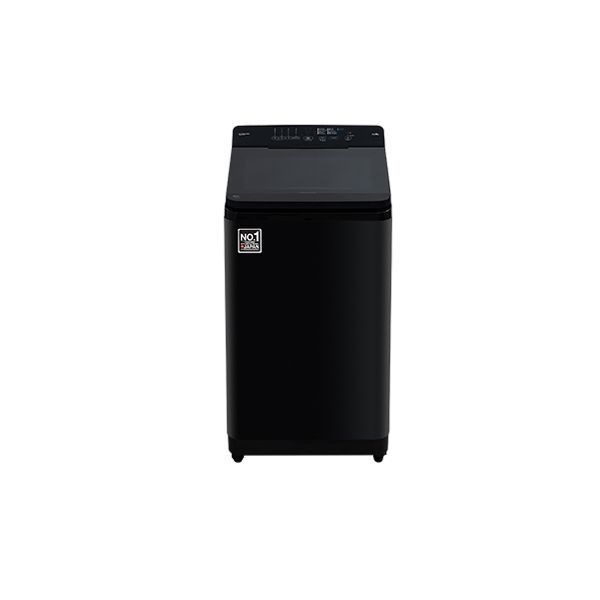 Panasonic 8 kg Fully Automatic Top Load Washing Machine  (NA-F80X11PRB)